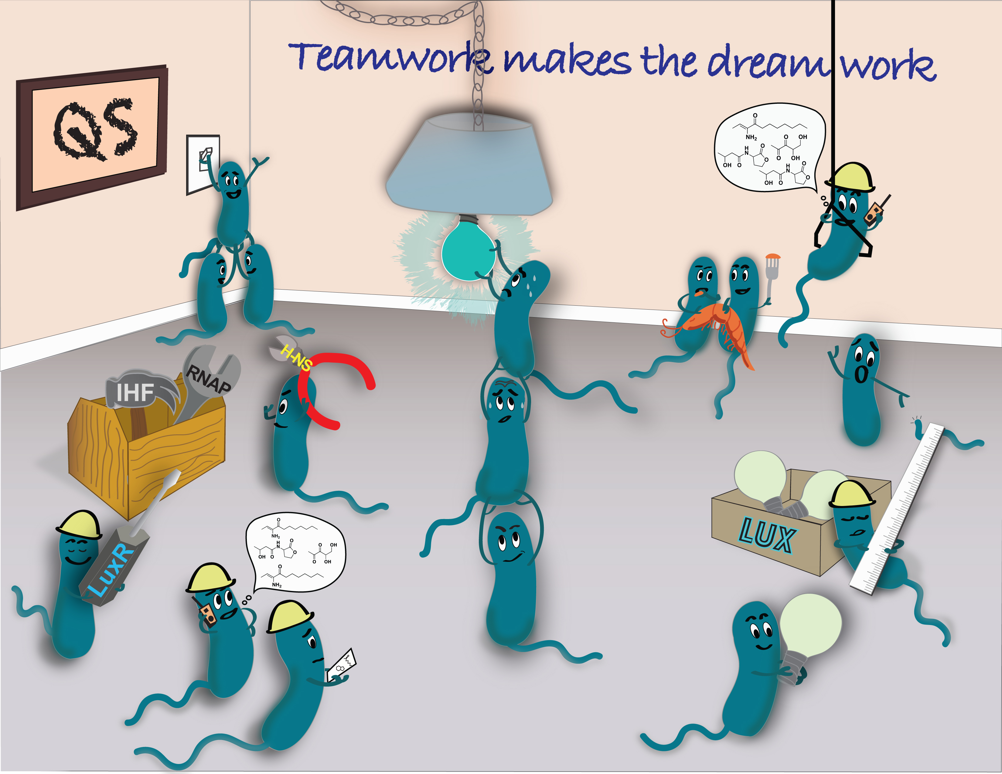 image showing blue cartoon bacteria working together to turn on light switches, screw in light bulbs, and do other housework using tools labeled as IHF, H-NS, RNAP, and LuxR. The text overlaying the image states teamwork makes the dreamwork